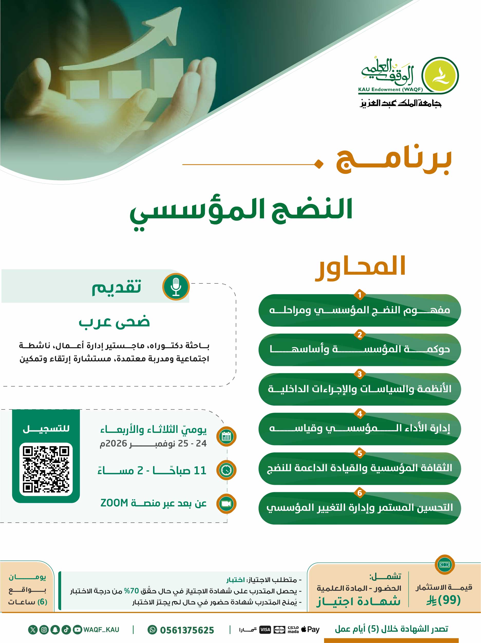 النضج المؤسسي